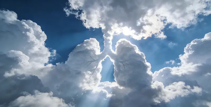 濮阳肺癌12基因ctDNA突变检测(血液）图片1