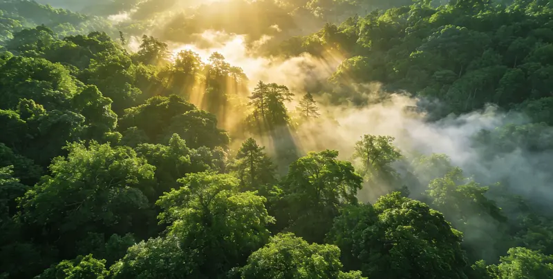 濮阳肺癌68基因检测图片1
